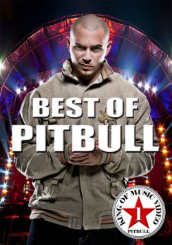 画像1: 最新★King Of MV -BEST OF PITBULL-★ 