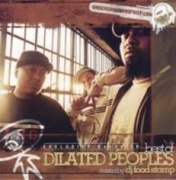 画像1: Best Of Dilated People - DJ Food Stamp